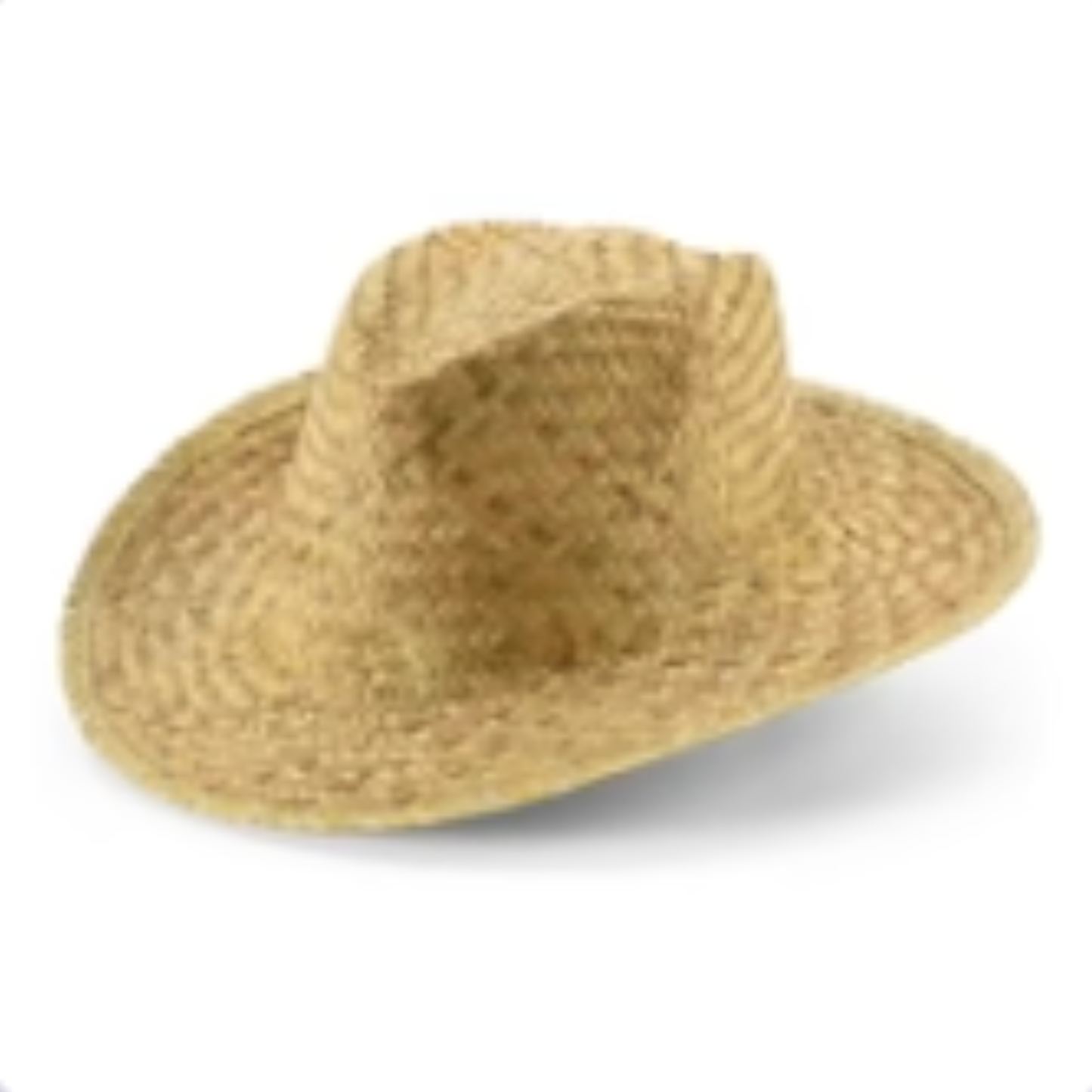 SpyMate™ Sombrero Ranchero (Accesorio)
